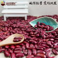 China Manufacturer Wholesale dark red kidney bean price